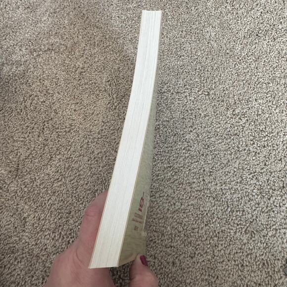 Antique Iron Identification and Values by Kathryn McNerney Values Updated 1998 - Picture 4 of 11